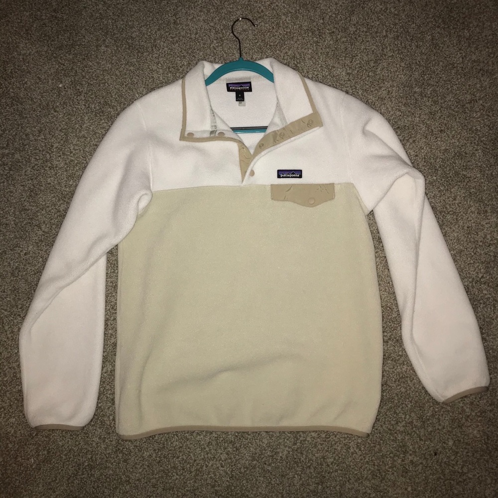 Patagonia Lightweight Synchilla Snap T Pullover